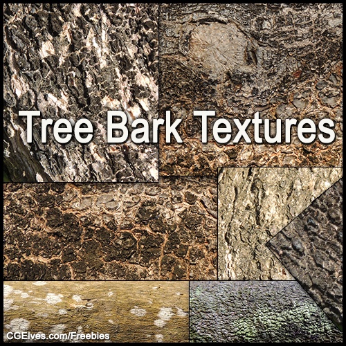Free High Resolution Tree Bark Texture Stock Photos