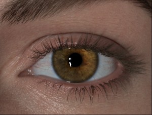 Luc Begin Realistic Human Eye 3D Model