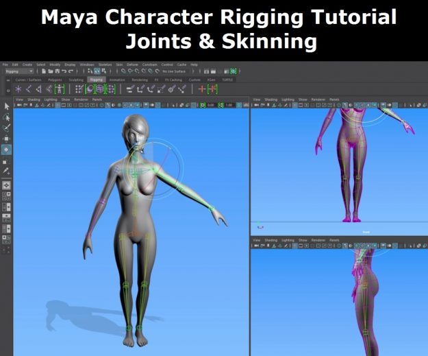 Maya Character Rigging Tutorial Joints and Skinning