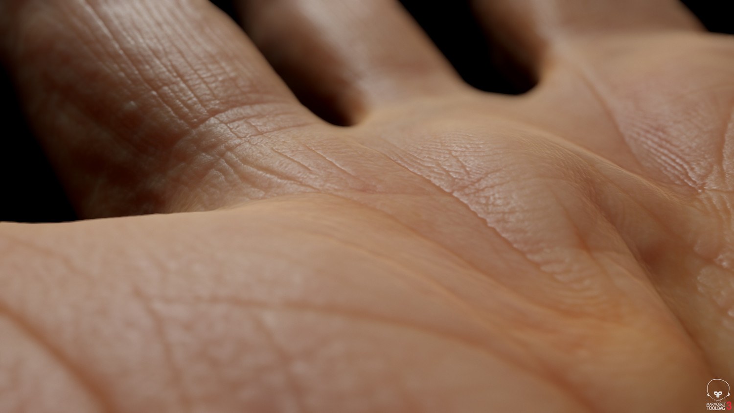 real 3D hands skin texture