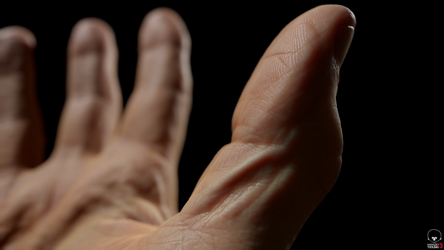 Realistic hand scans models